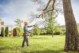 Best Pest Control for Lawns  in San Bernardino, CA