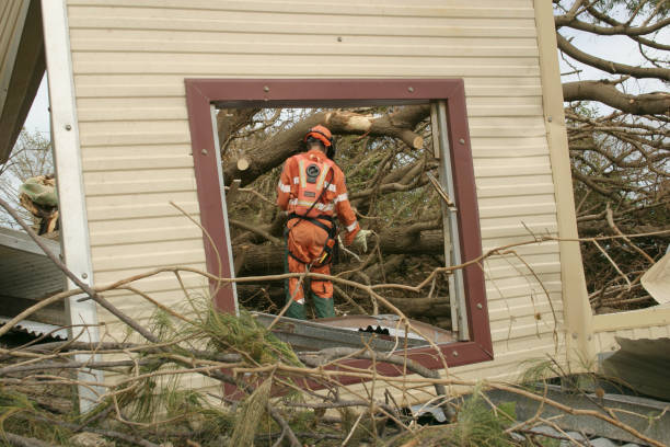 Best Tree Mulching  in San Bernardino, CA